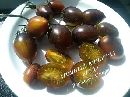 Атомный виноград бреда урожайность