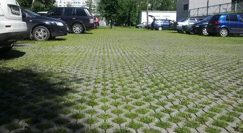 Газон под автомобилем
