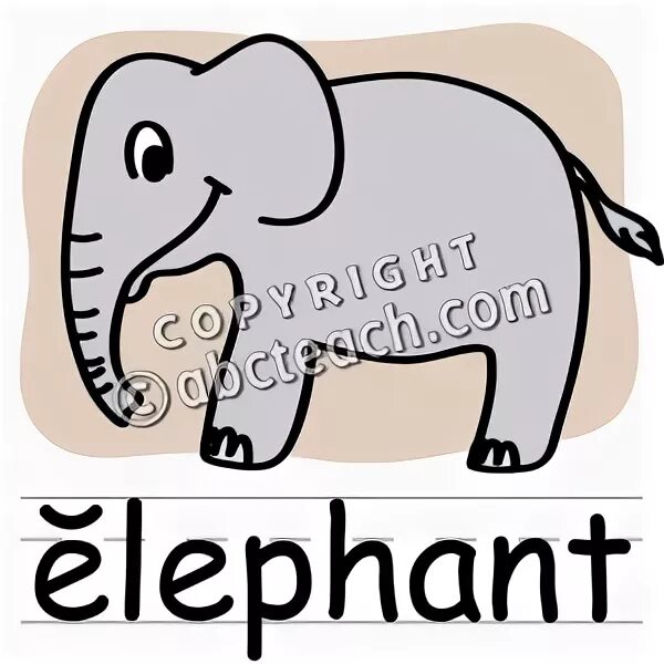 Elephant перевести. Слон на английском. Elephant надпись. Карточки по английскому языку для детей Elephant. Elephant транскрипция.