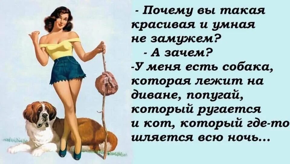 Что делают замужем. Красивые умные и веселые женщины. женщины самые красивые и умные юмористические. почему такая красивая и не замужем. девушка вы такая умная.