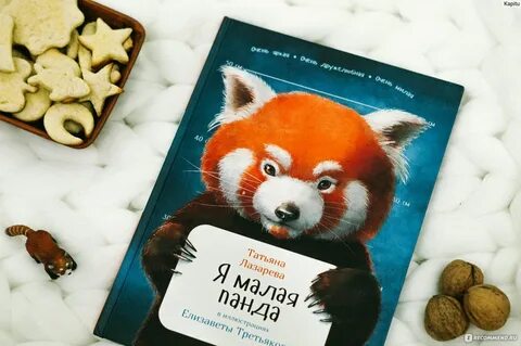 Панда книга