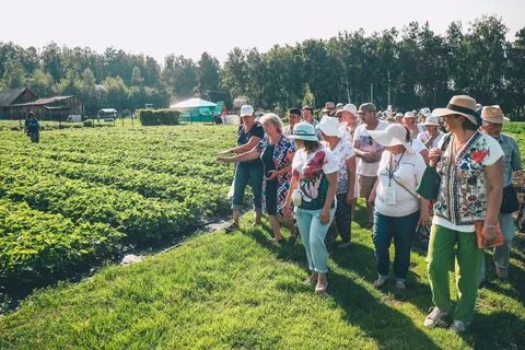 Погода в субботино шушенского