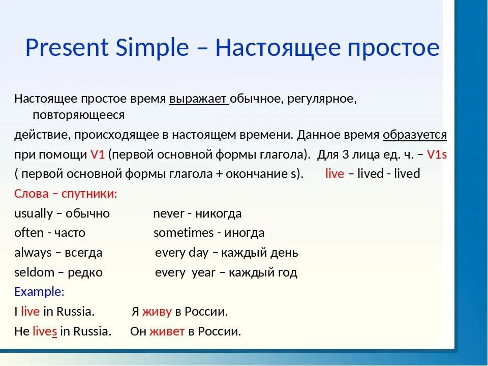 6 предложений present simple 6 класс