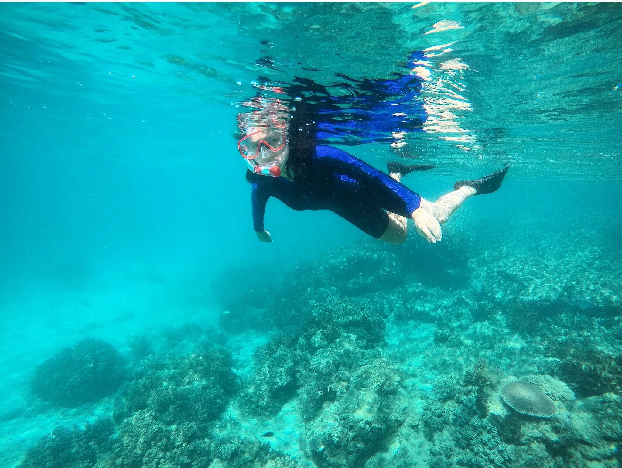 Ост нусапинидо снорклинг. Снорклинг шарм эль шейх. Снорклинг в египте шарм-эль-шейх. Фуджейра снорклинг. Ангага снорклинг.