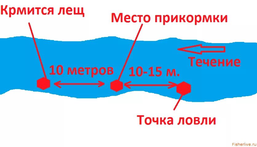 Где ловить леща в сентябре. Перспективные места для ловли леща. места ловли леща. места ловли леща на реке. места стоянки леща на реке.