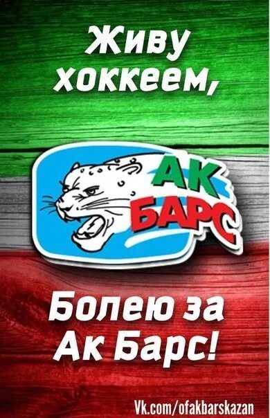 Не работает ак барс приложение сегодня. Ак барс. ак барс эмблема. эмблема хоккейного клуба ак барс казань. ак барс хоккейный клуб логотип.