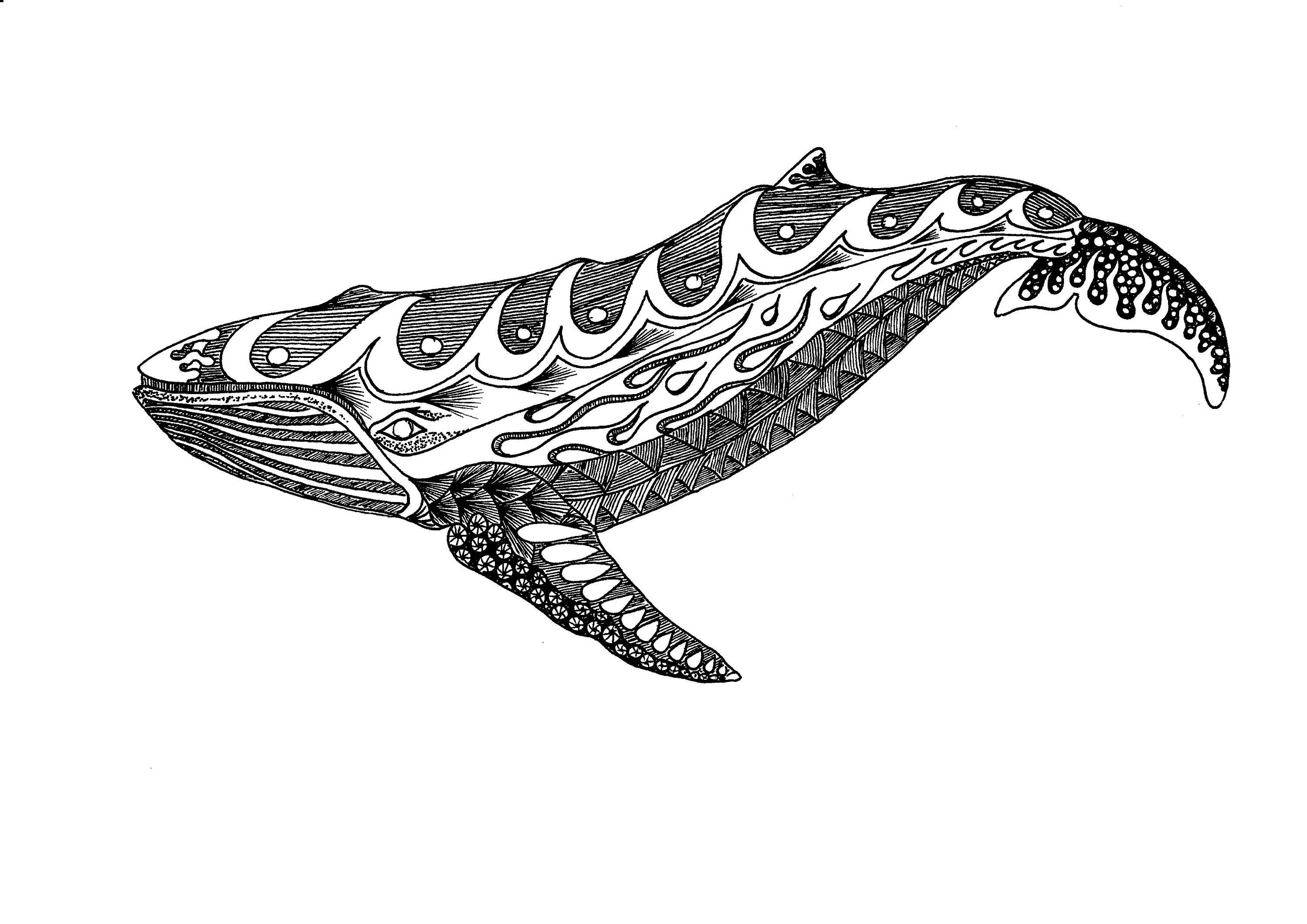 Кит в mtg. Black whale token. Black whale token. Черная кит ваены. Black whale token.