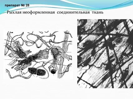 Плотная неоформленная