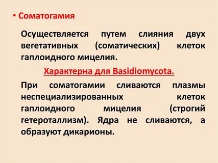 Соматогамия