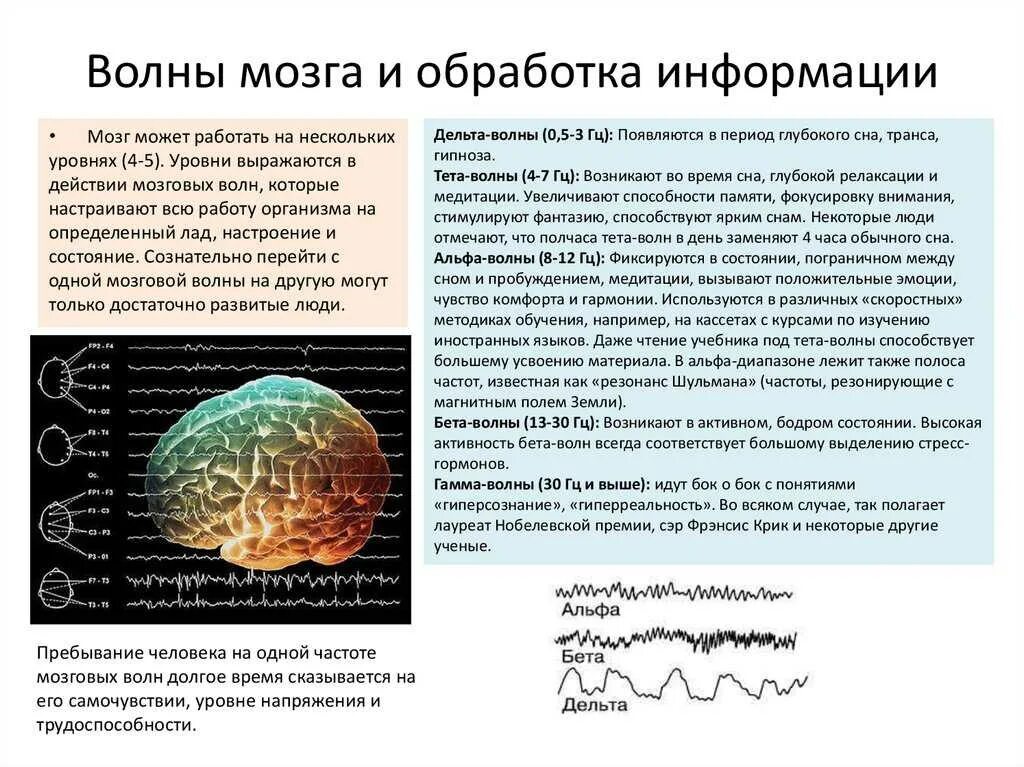 Волны мозга Альфа бета тета. Альфа бета гамма тета Дельта состояние мозга. Альфа бета гамма волны головного мозга. Альфа бета тета Дельта волны. Мозг альфа бета