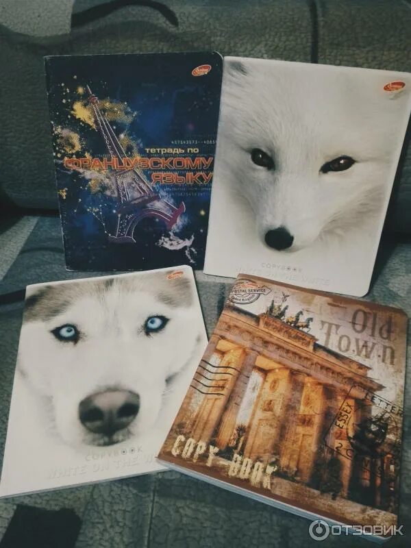 Тетрадь 24 л клетка на скобе зеленая 24т5в1_05112 hatber. , косая линия bg "школьная", зеленая, эконом. Тетрадь 40л клетка "полосы" 13587/5 academy style {россия} код товара: 173368 27. Academy style тетради. Тетрадь 48л total pink sweet.