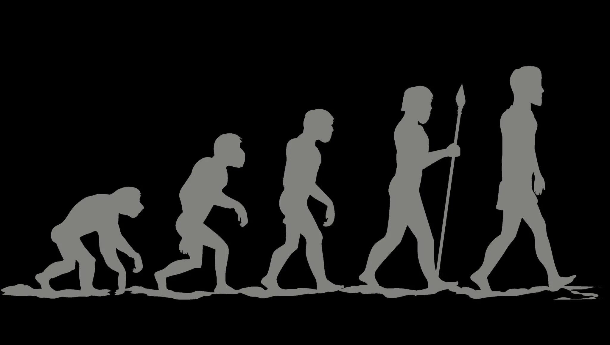 Жизни путем эволюции. Эволюция человека. Человек Эволюция и антропология. Эволюция человека от рыбы. Эволюция человека арт.