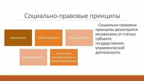 Организационный принцип административной деятельности