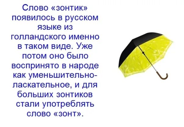 Одолжил ей зонтик. Стих про зонтик. Интересные факты о зонтах. Происхождение слова зонт. Факт про зонтик.