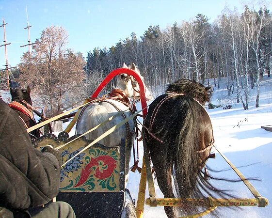 Бразды правления в руках. Бразды. Бразды пушистые. Бразды управления. Бразды фото.