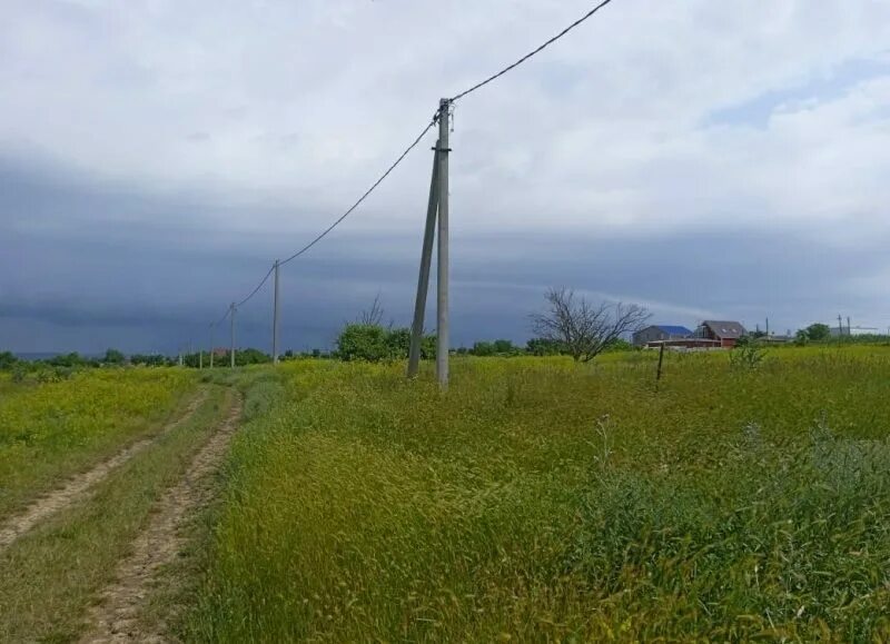 Виноградный темрюкский. Виноградный темрюкский. Кубань таманский полуостров виноградники. Поселок виноградный краснодарский край. Виноград таманский.