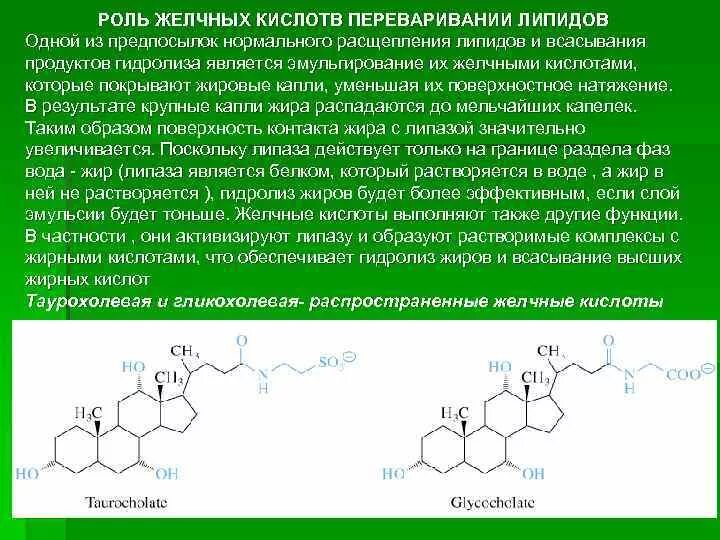 Соли желчных кислот строение. Желчные кислотысьроение. Строение желчных кислот биохимия. Роль конъюгатов желчных кислот.