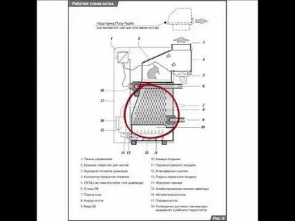 Протерм медведь ошибки