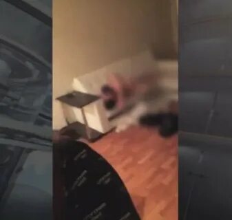 Они выложили видео