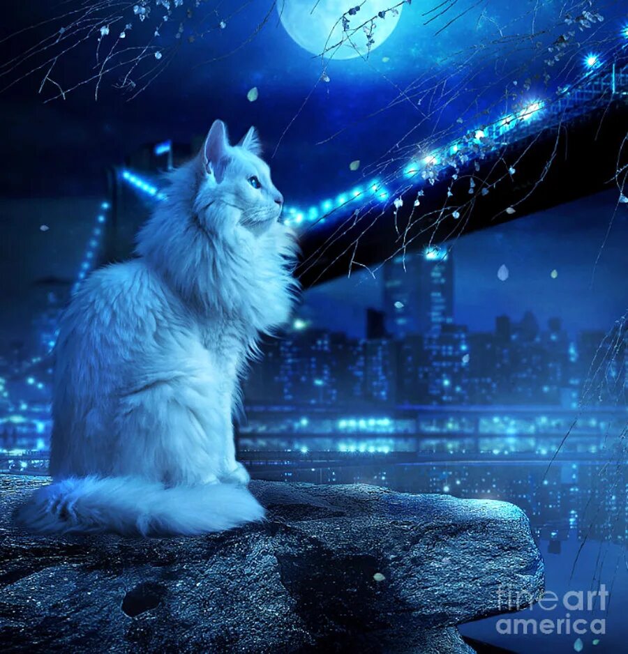 "Лунный кот". Волшебные кошки. Волшебных снов. Доброй зимней ночи животные. Киса ночью