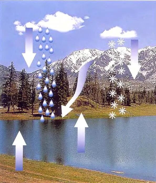 Круговорот фото. Превращение воды. Круговорот воды в природе. Круговорот снега в природе для детей. Превращения воды в природе.