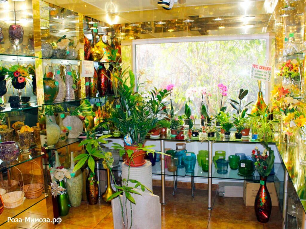 Улица семашко мытищи на карте. Атмосфера цветов мытищи. Магазин цветов городская база цветов. Салон красотка мытищи семашко. Сеть салонов цветник.