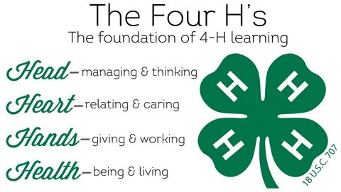H four