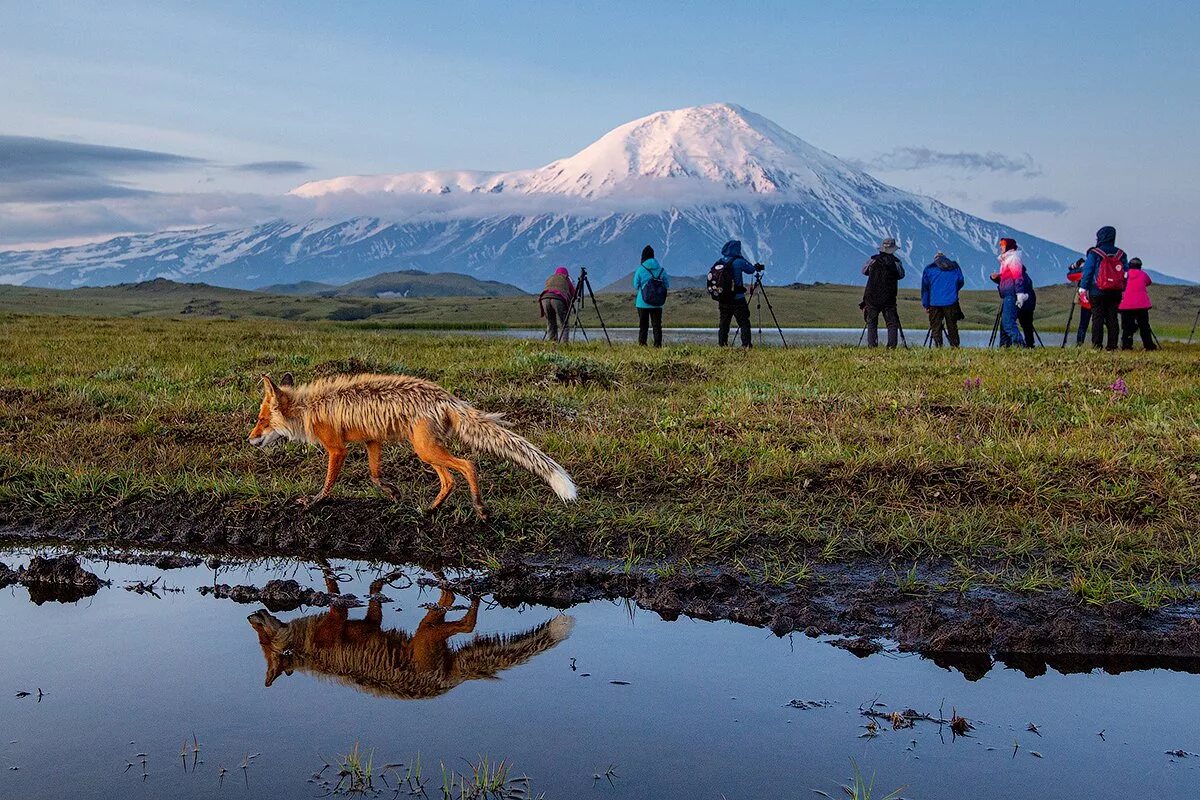 Kamchatka is in the of russia