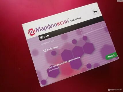 Марфлоксин для кошек инструкция
