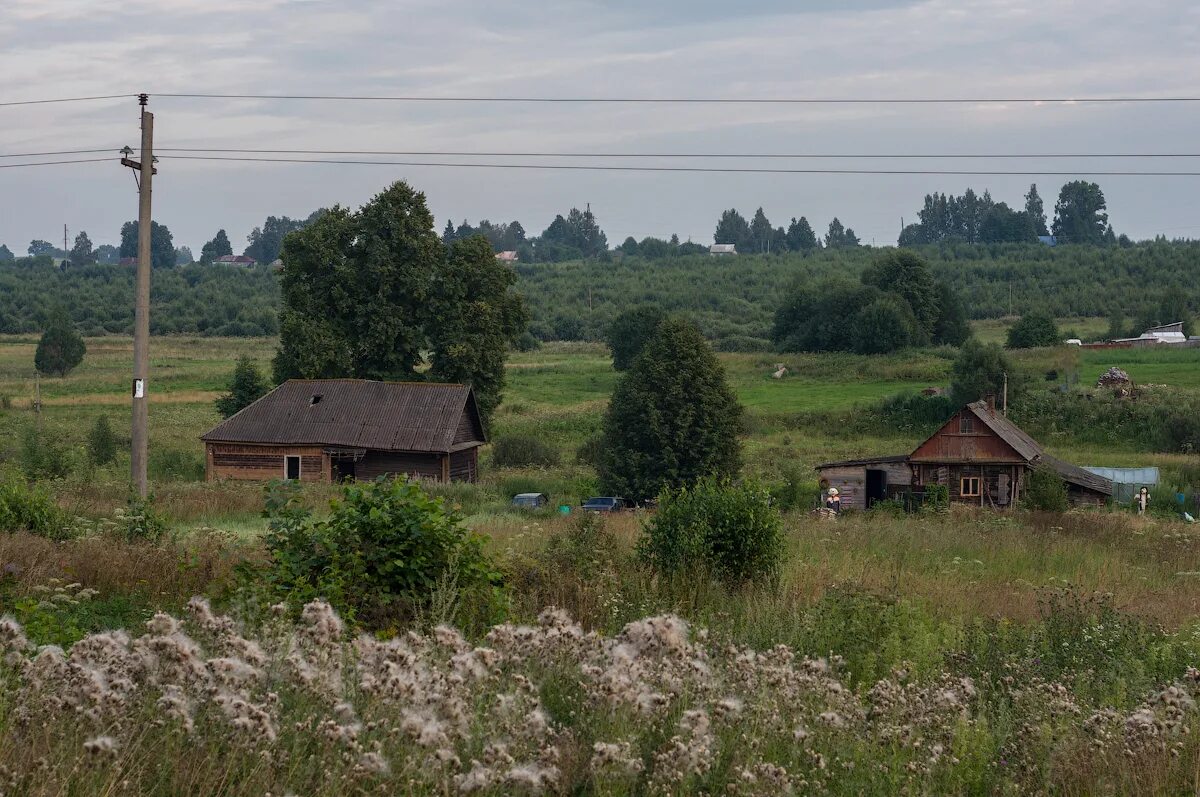 Деревня черемушки. Вязьма деревня Черемушки. Д Черемушки Вяземский район. Деревня Башуки Вяземский район. Черёмушки деревня Смоленская область.