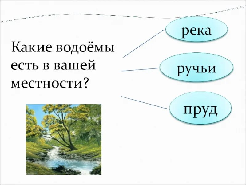 Какие водоемы есть в твоем крае окружающий. Какие есть водоемы. водоемы кубани 2 класс. водоёмы 2 класс окружающий мир. какие водоёмы есть в нашем крае.