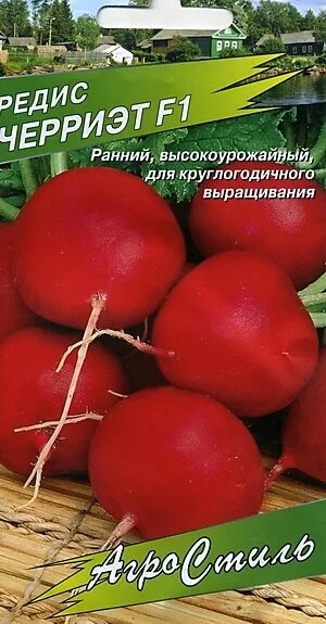 Сорт редиса для теплиц с короткой ботвой. Редис черриэт f1 описание