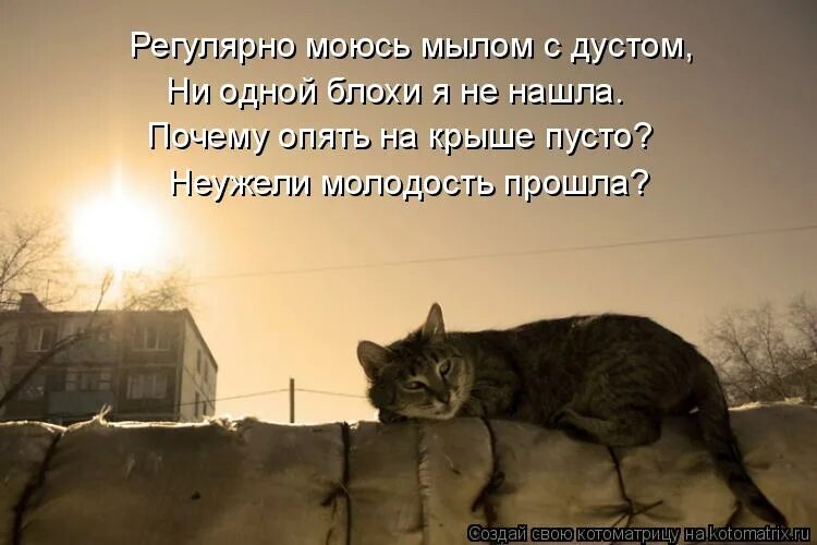 почему опять холодно. приколы про холод. почему опять холодно. холодно прикол. почему опять холодно.