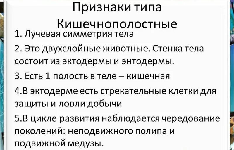 Охарактеризуйте основные черты строения кишечнополостных. Таблица основное строение кишечнополостных. Охарактеризуйте основные черты строения кишечнополостных. Охарактеризуйте основные черты строения кишечнополостных. Тип кишечнополостные таблица общие признаки.