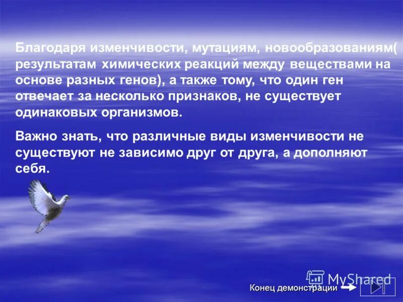 Бзс в биологии расшифровка. Существование одинаково. Презентация праздники вопросы. Существование одинаково. Изомеры это вещества.