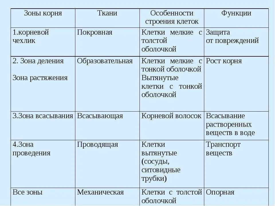 Носовая полость особенности строения и функции таблица. Таблица по биологии 6 класс зоны корня функции. строение корня таблица 6 класс биология. биология 6 класс таблица зона корня строение функции. таблица по биологии зоны корня особенности строения функции.