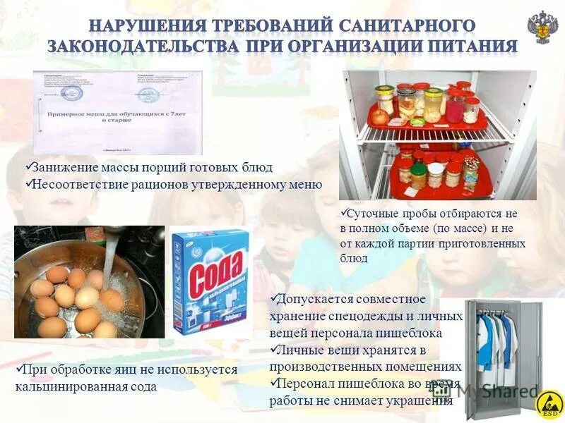 Памятка по отбору суточной пробы. Хранение суточной пробы на пищеблоке. Суточные пробы в детском саду по санпин. Хранение суточной пробы на пищеблоке. Какой должен быть срок хранения суточных проб.