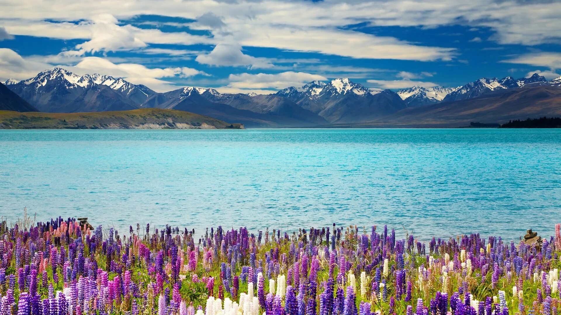 Spring scenes