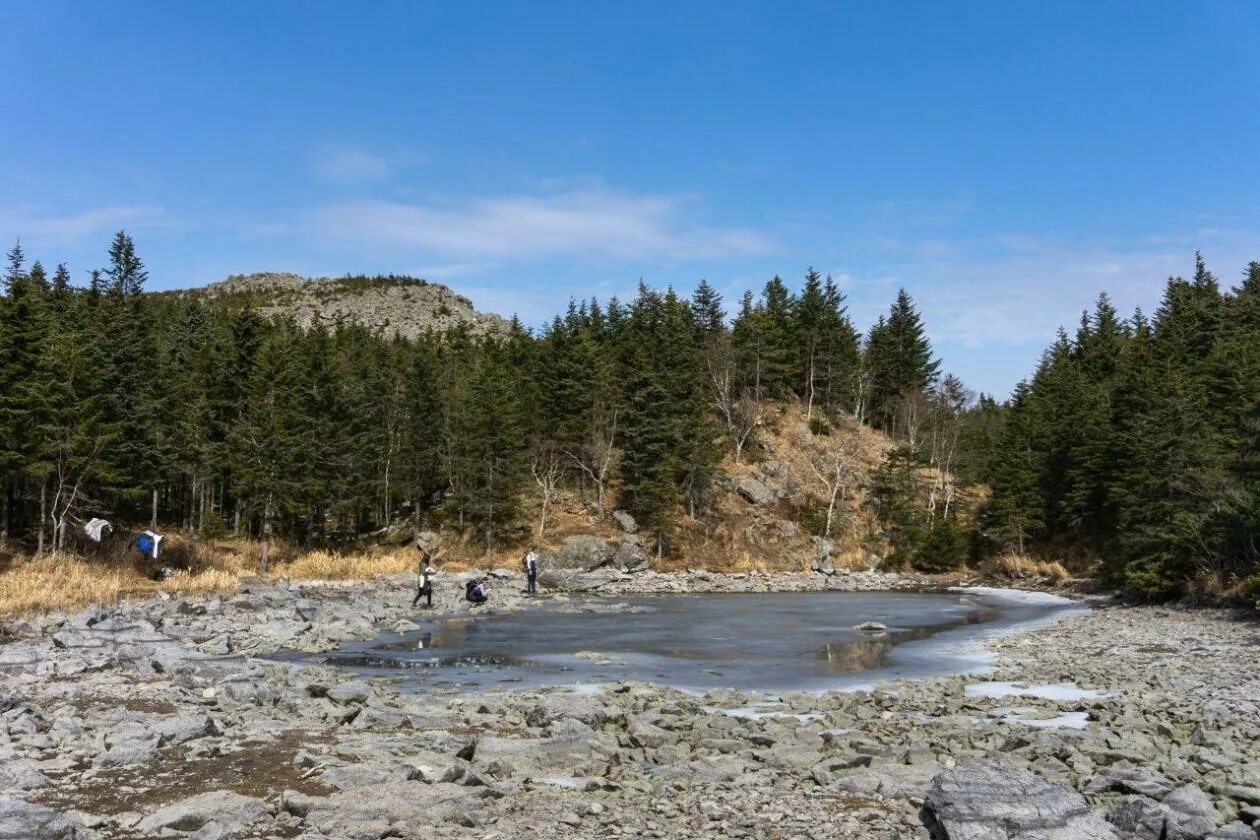 Ольховая. Сопка ольховая. Приморье гора ольховая. Ольховая новоуральск тропа. Станция ольховая москва.