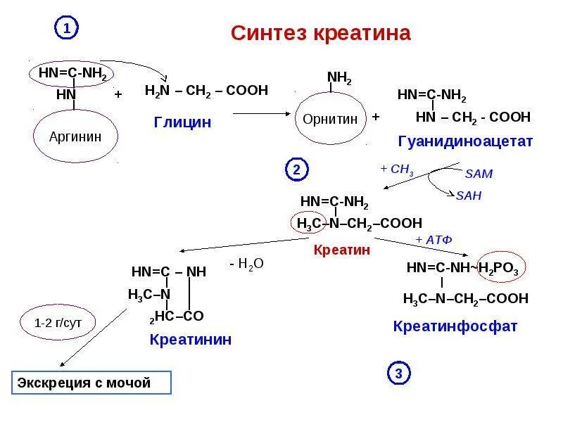 Синтез ростов. Синтез ростов
