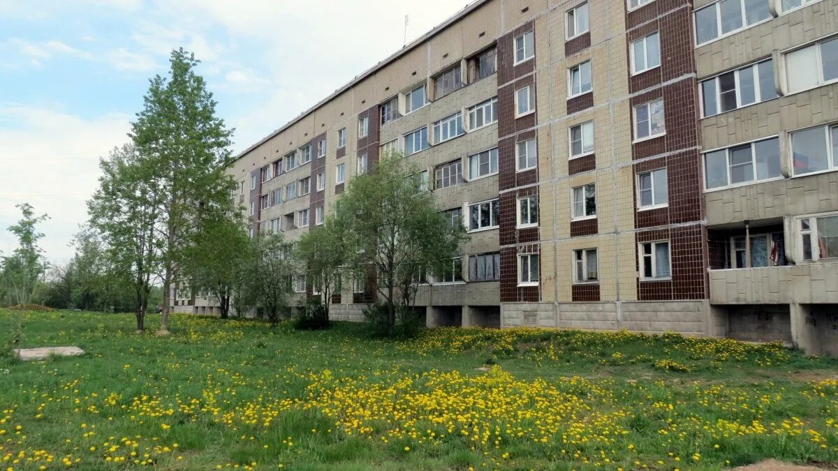 Посёлок Первомайское Выборгский. Поселок Первомайское Ленинградская область. Пос пруды Выборгского района Ленинградской области. Первомайское сельское поселение Выборгский район. Купить первомайское ленинградская область