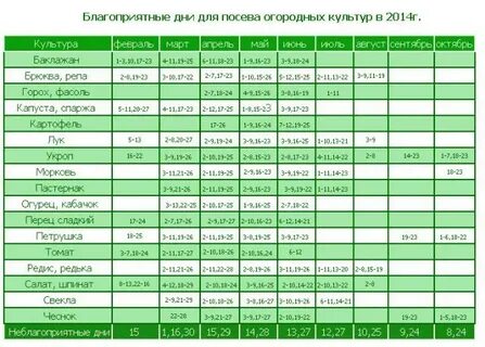 Благоприятные дни для посадки капусты в 2024