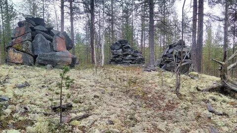 Находки мурманск