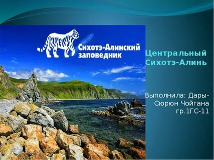 3 сихотэ алинский