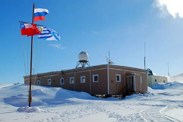 Станция беллинсгаузен императорские пингвины. Условия быта полярников. Баня карга. Ванкаремская полярная станция. Домики для полярников.