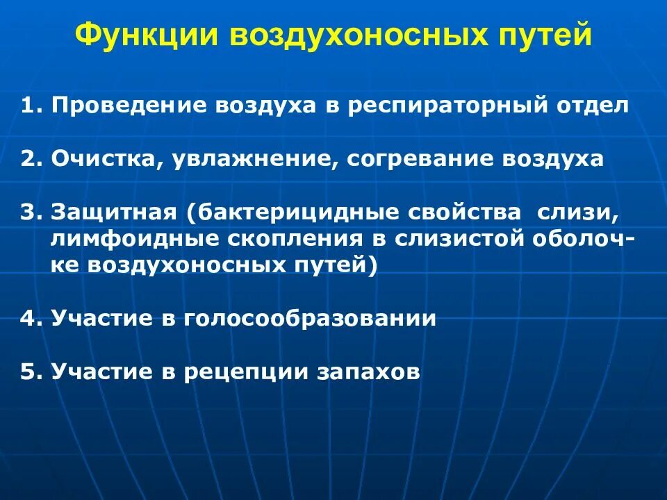 Очищение увлажнение и согревание вдыхаемого воздуха. Функции воздухоносных путей. Функции воздухносные путь. Особенности строения воздухоносных путей. Воздухоносные пути строение и функции.