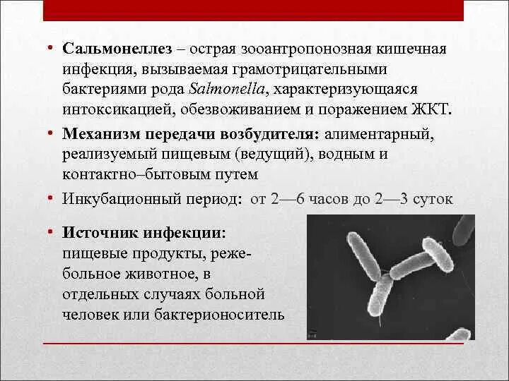 Сальманалиоз. Сальмонеллез. Кишечные инфекции сальмонеллез. Острые кишечные инфекции сальмонеллез. Заболевания вызываемые сальмонеллами.