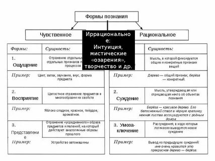Познавательная и коммуникативная деятельность 10 класс конспект