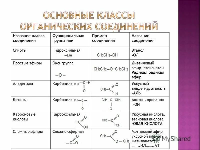 характеристика организмов функциональная группа