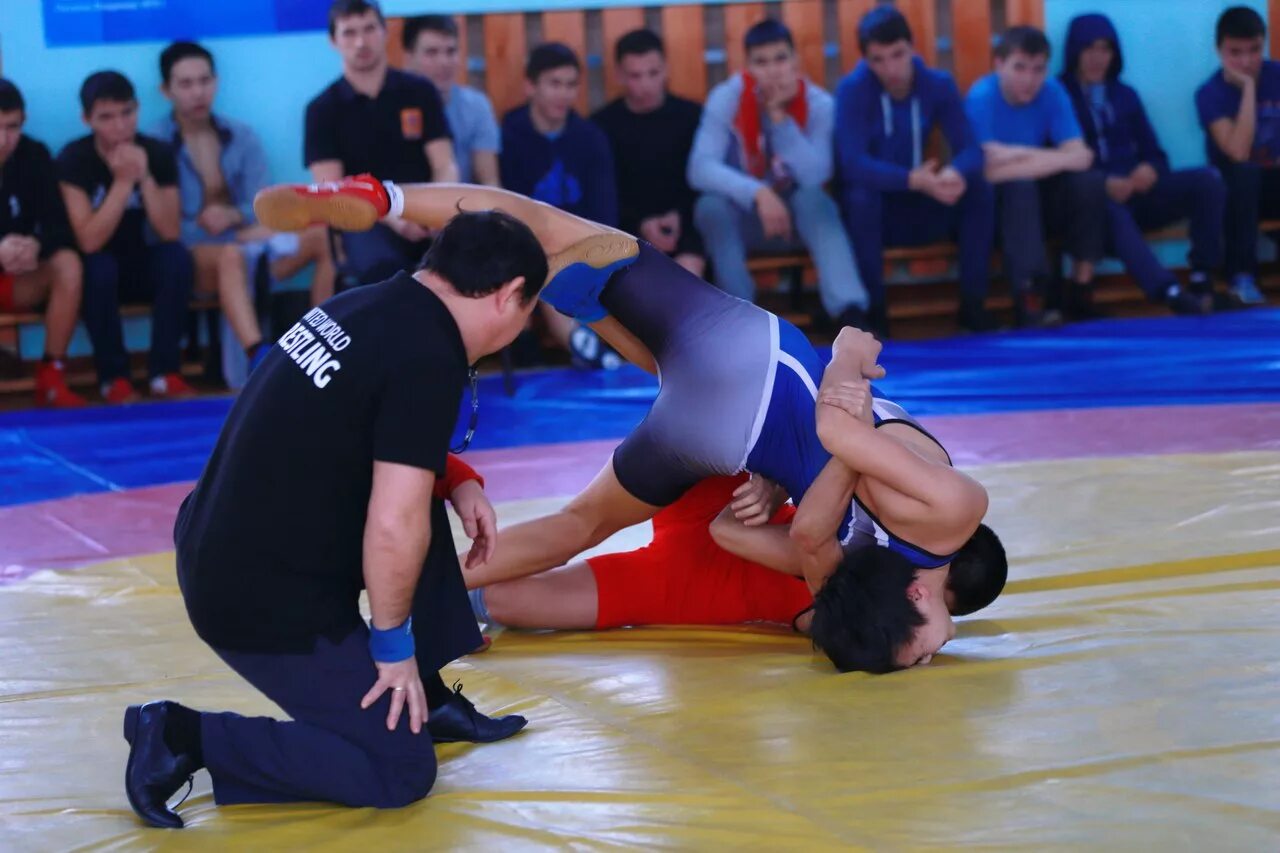 Греко римская борьба абакан. Хакасия поселок борец. Погода борец хакасия. Греко римская борьба абакан. Юлия борец хакасия.